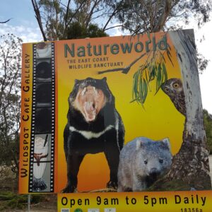East Coast Natureworld This wildlife park showcases Tasmania's native animals, including Tasmanian devils, kangaroos, and birdlife. It's an educational experience for all ages.