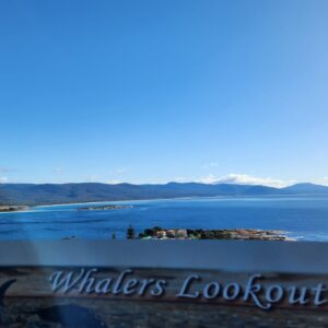 Whalers Lookout a short walk from the town center leads to this lookout point, offering panoramic views of Bicheno's coastline and the surrounding area.